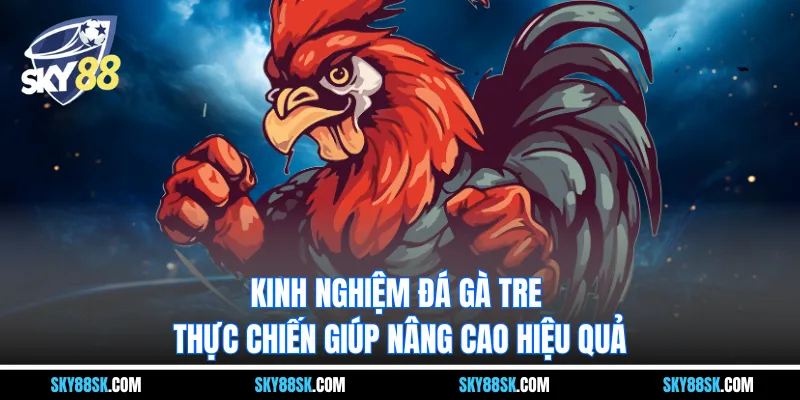 Kinh nghiệm đá gà tre thực chiến giúp nâng cao hiệu quả