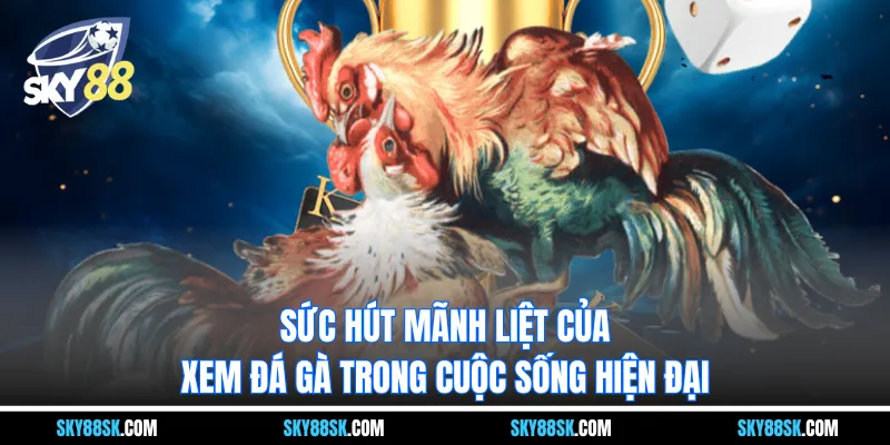 Sức hút mãnh liệt của xem đá gà trong cuộc sống hiện đại